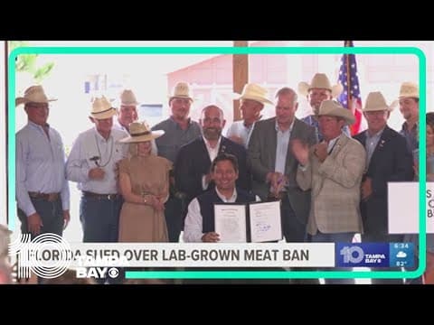 Lab-grown meat maker files lawsuit against Florida ban