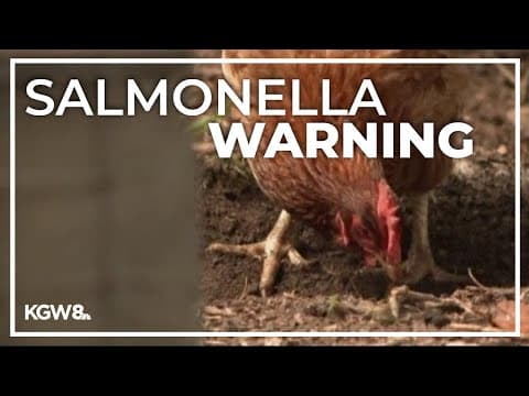 Keep kids away from backyard chickens, Oregon Health Authority warns