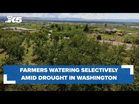 Drought impacting fish, crops and rivers in Washington