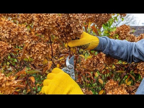 Tips for preparing your garden for the Fall