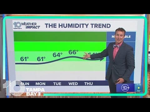 10 Tampa Bay Forecast: October 26, 2024