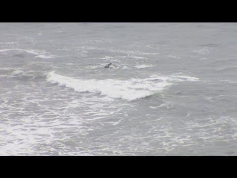 Plane crashes off Point Loma coast, 6 people missing | 5 p.m. update