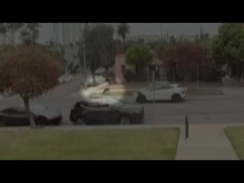 Dog escapes direct hit from Waymo taxi