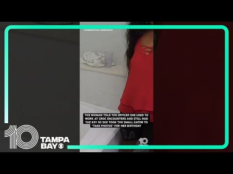 #florida woman ‘borrows’ #gator from #tampa zoo, keeps it in Orlando-area hotel bathtub. #10tampabay