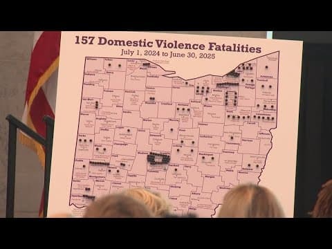 Domestic violence deaths reach 10-year high in Ohio, new report finds