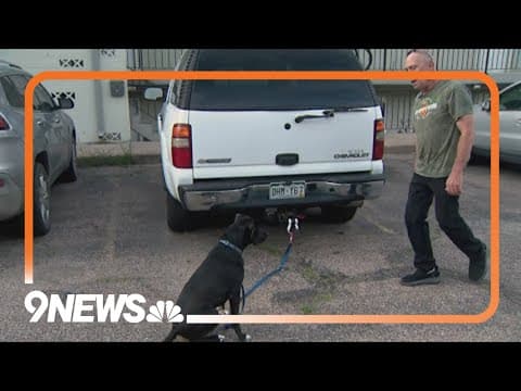 Fort Collins veteran finds healing with rescue dog