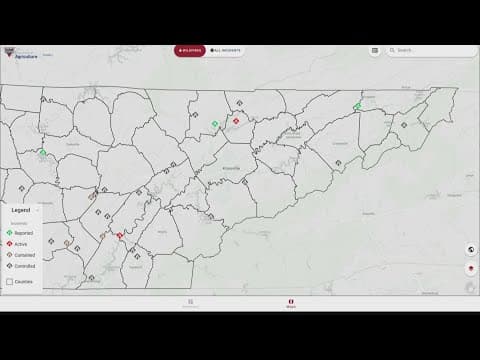 Burn permits paused in Sevier Co.; Knox Co. bans open burning due to high fire danger