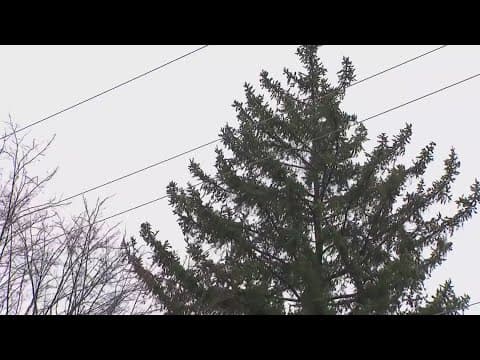 Climate change causing shift in severe weather