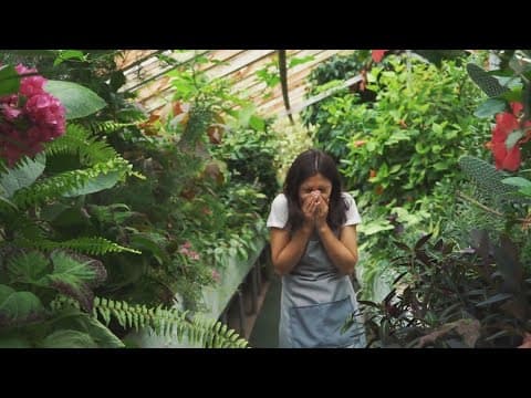 Spring is here, and allergies are too