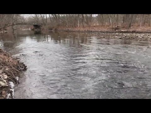 ODNR director provides update on wildlife around East Palestine