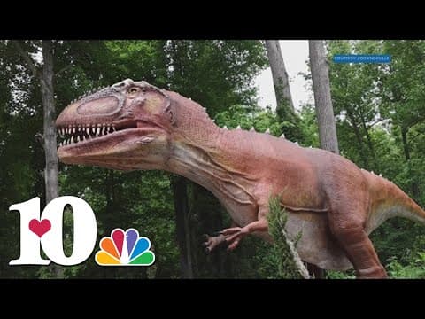 New 'Planet Predator' exhibit opens at Zoo Knoxville