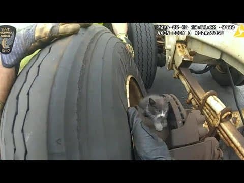 A semi driver found a small kitten stuck in between the truck's tires. Here's how it was rescued