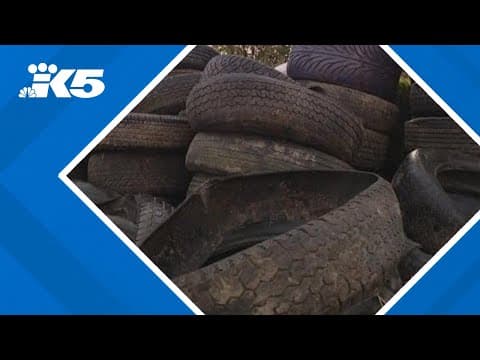 Skagit County looks to stop 'brazen' illegal tire dumpers