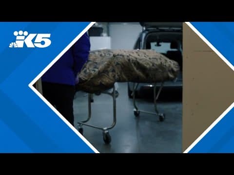 ‘The stuff you see is horrific': Coroners, medical examiners could qualify for PTSD treatment