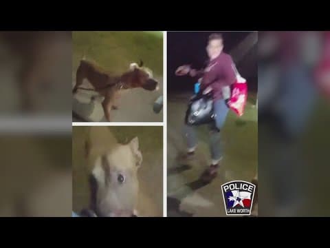 Woman attacked by dog at North Texas dog park, prompting investigation, officials say