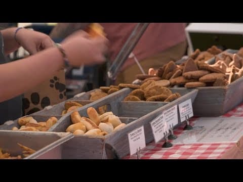 Local small business owner expands her business despite challenges