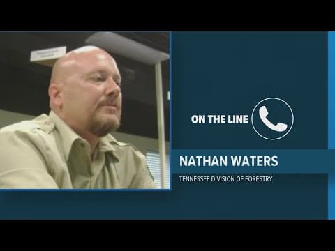 State Dept. of Forestry describes what crews are doing to contain Tellico Plains brush fire