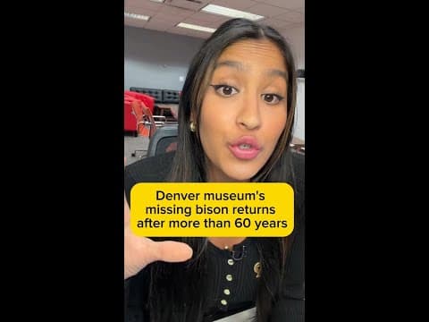 Denver museum's missing bison returns after more than 60 years