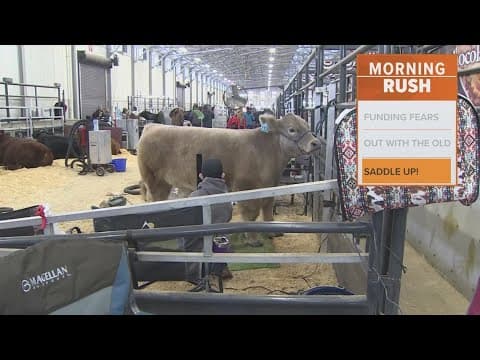 Tickets for the Fort Worth Stock Show and Rodeo go on sale tomorrow