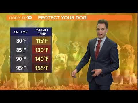 Columbus, Ohio weather forecast | Excessive Heat Watch issued for cental Ohio