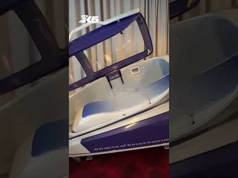 American woman dies inside Swiss "suicide capsule"