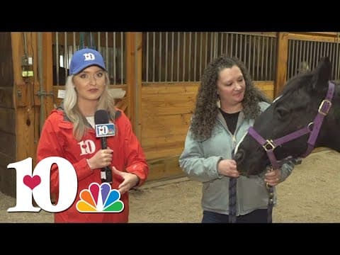 Meet Pebbles, a rescue from Horse Haven