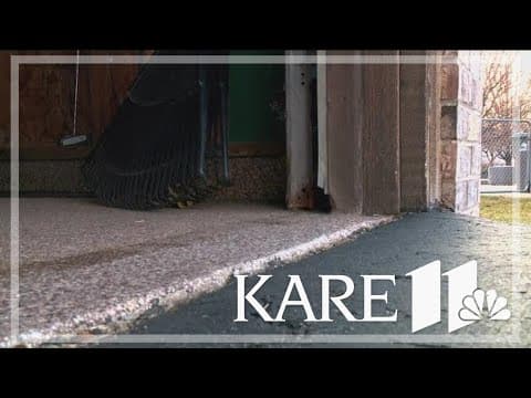 Pest control company sees spike in mice calls