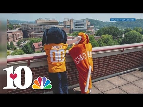 UT Libraries looks back at the history of Smokey