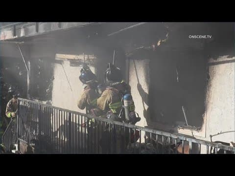 Family displaced and dog killed after Christmas tree catches fire in Spring Valley home