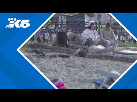 Seattle leaders take new actions to prevent crime at parks, beaches