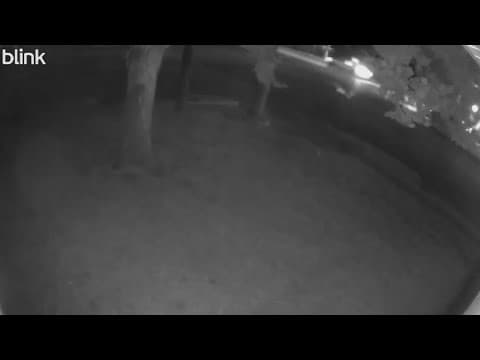 Doorbell camera captures a terrifying shooting in Mesquite