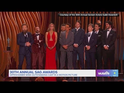 The big winners from the 30th SAG Awards