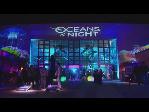 Bioluminescent blue wave experience opening in Southern California