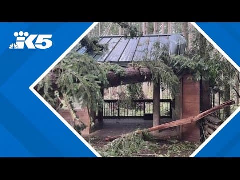 Northwest Trek Wildlife Park damaged in wind storm