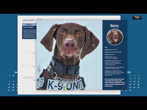 TSA releases its 2025 bomb detection dog Calandar