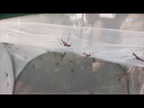 7 confirmed cases of West Nile virus in Houston area