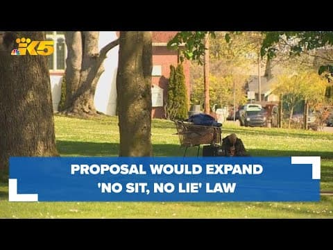 Proposed ordinance would expand Everett's controversial 'no sit, no lie' law