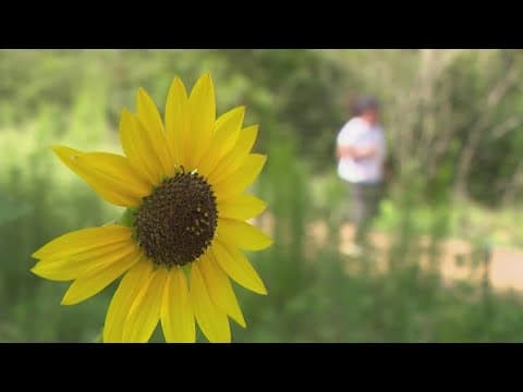 The future looks bright for Memorial Park