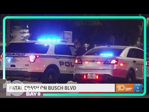 Fatal crash on Busch Boulevard