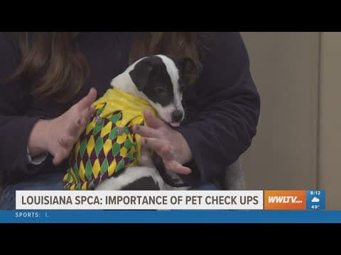 Pet checkup reminder from LASPCA