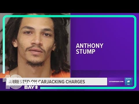 2 arrested, including teen, after carjacking in St. Petersburg