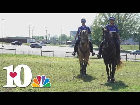 Blount County mounted patrol is the last unit on horseback in East Tennessee