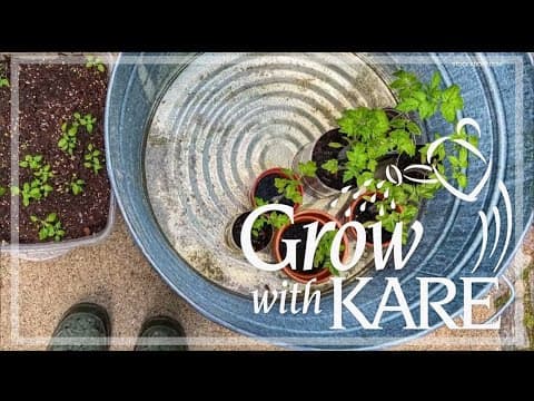 Grow with KARE: Hardening off seedlings