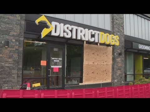 Issues with DC's 911 Call Center: District Dogs Flood |  One Year later