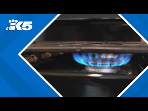 Coalition challenging the constitutionality of natural gas initiative