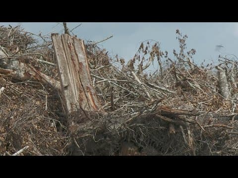 Burning of tornado debris in St. Tammany to begin this week