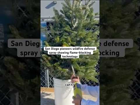 Fire officials say San Diego needs to protect their homes as wildfires blaze in Los Angeles.