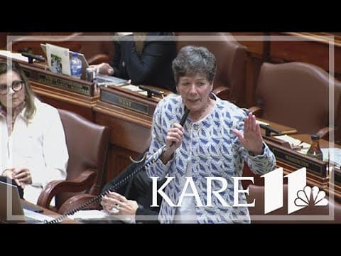 MN legislators debate gun safety at Capitol