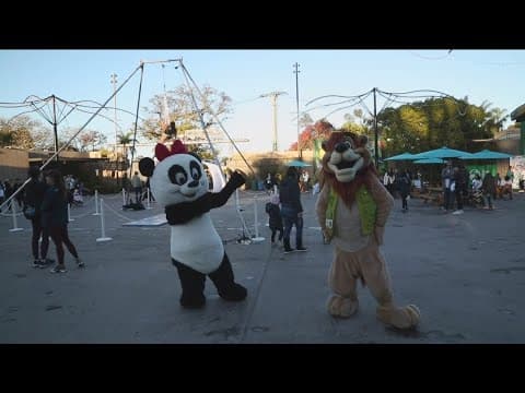 Rady Children's set to kick off "Wild Walkabout" at the San Diego Zoo on May 18