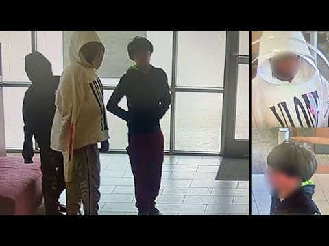 FBI searching for 'little rascals' who they say robbed north Houston bank